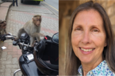 urban macaques on motorbike (left) and primatologist Paula Pebsworth (right) 
