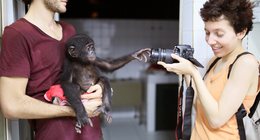 PhD student Cintia Garai filming at Lola ya Bonobo